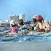 Bahrain Photos, Fishing nets