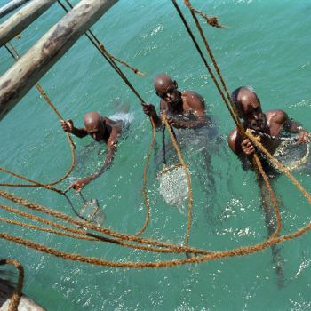 Pearl Divers