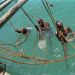 Bahrain Photos, Pearl Divers